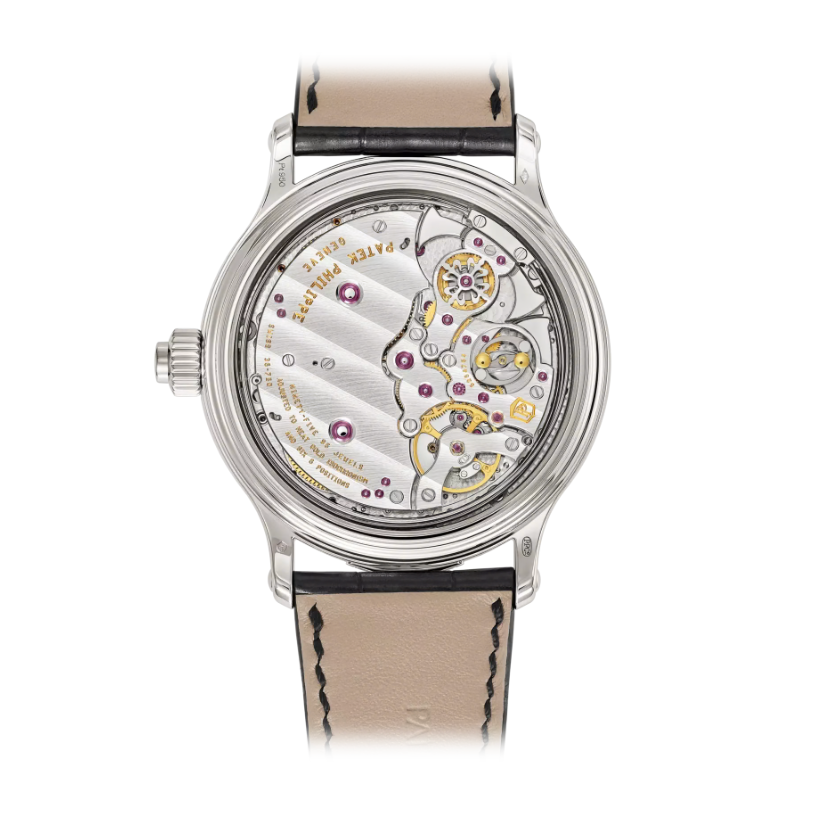 Patek Philippe GRAND COMPLICATIONS 6301P-001