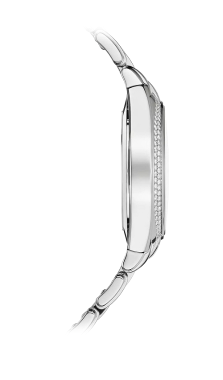 Patek Philippe TWENTY~4 7300/1200A-011