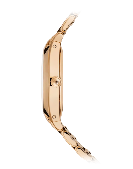 Patek Philippe TWENTY~4 7340/1R-010
