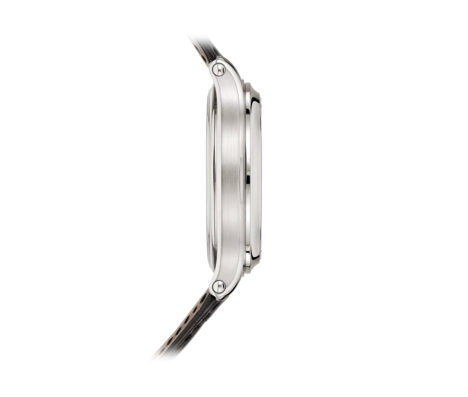 Patek Philippe GRAND COMPLICATIONS 6301P-001